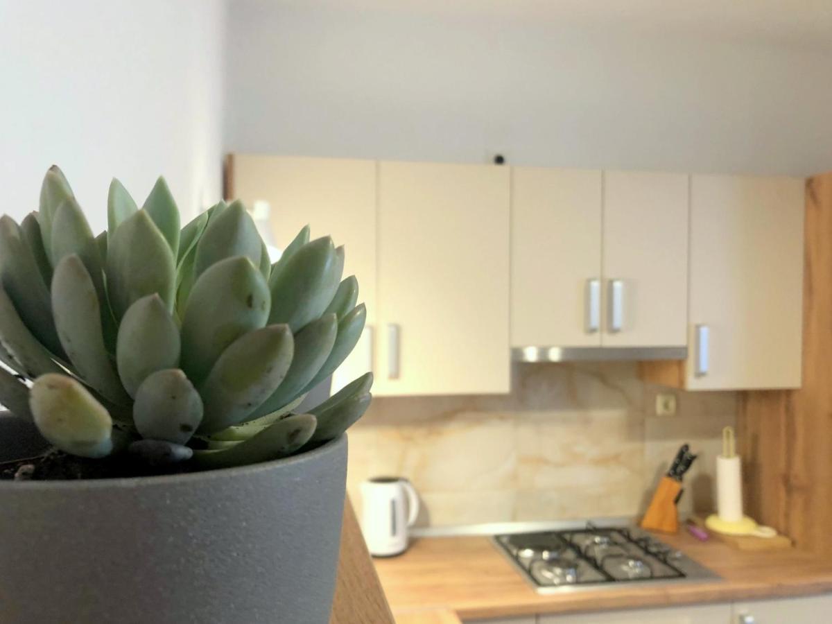 Zoro Apartments Palit Dış mekan fotoğraf